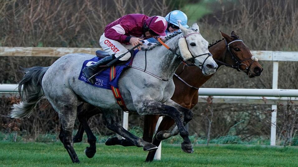 Petit Mouchoir at Leopardstown